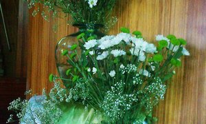 Roeping en gewone lewe